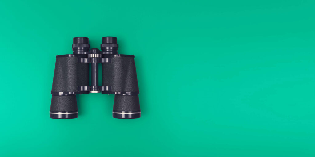 Black binoculars lying flat on a green background. The photo is taken from above. Demand forecasting techniques for better inventory management