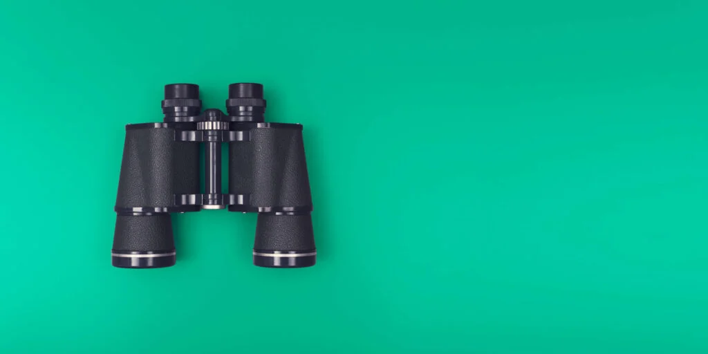 Black binoculars lying flat on a green background. The photo is taken from above. Demand forecasting techniques for better inventory management