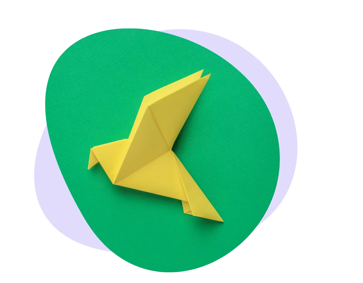 Customer success managers