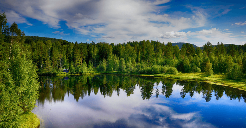 inköpare utmaningar semester