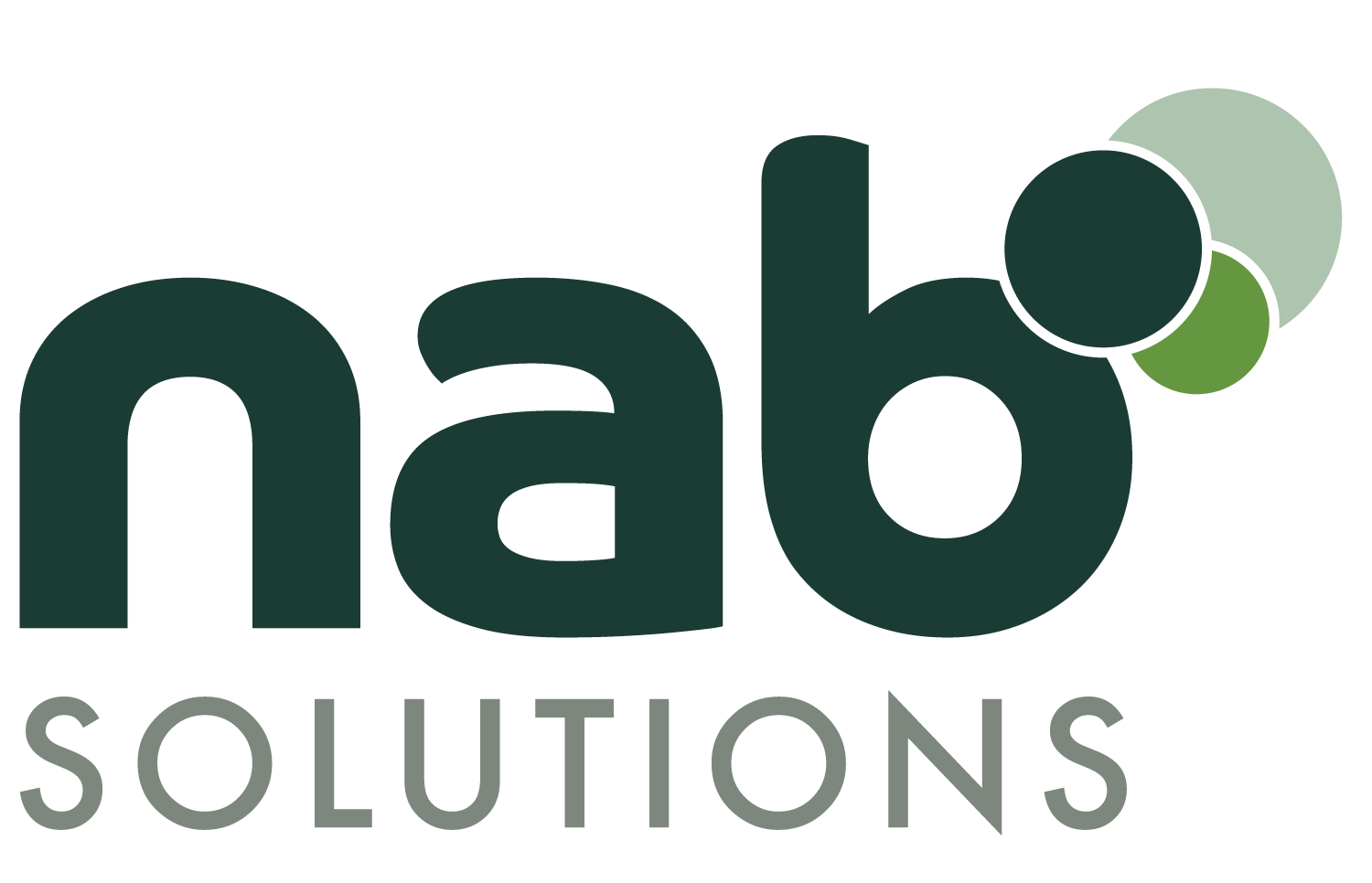NAB logo